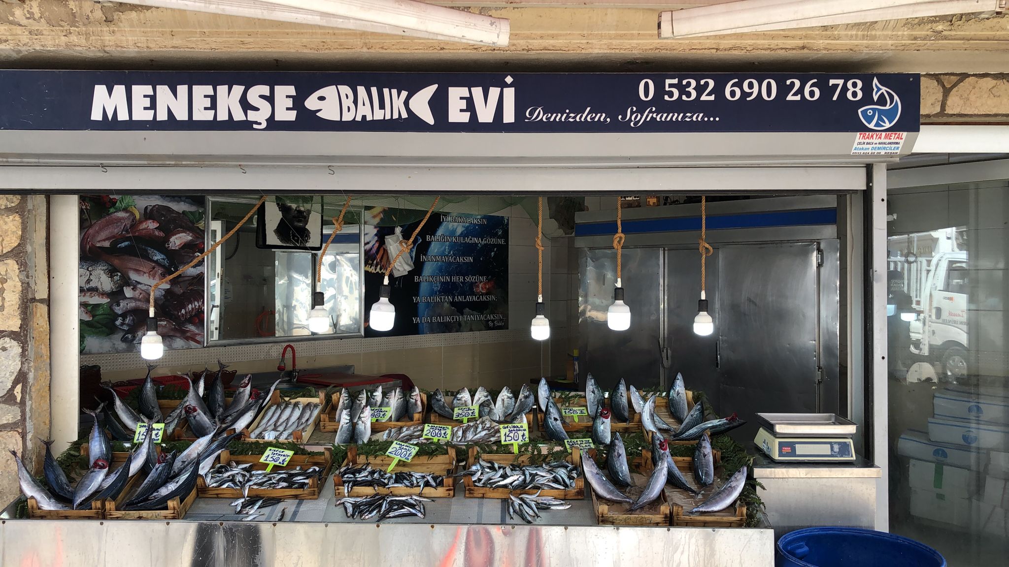 Menekşe Balık Evi